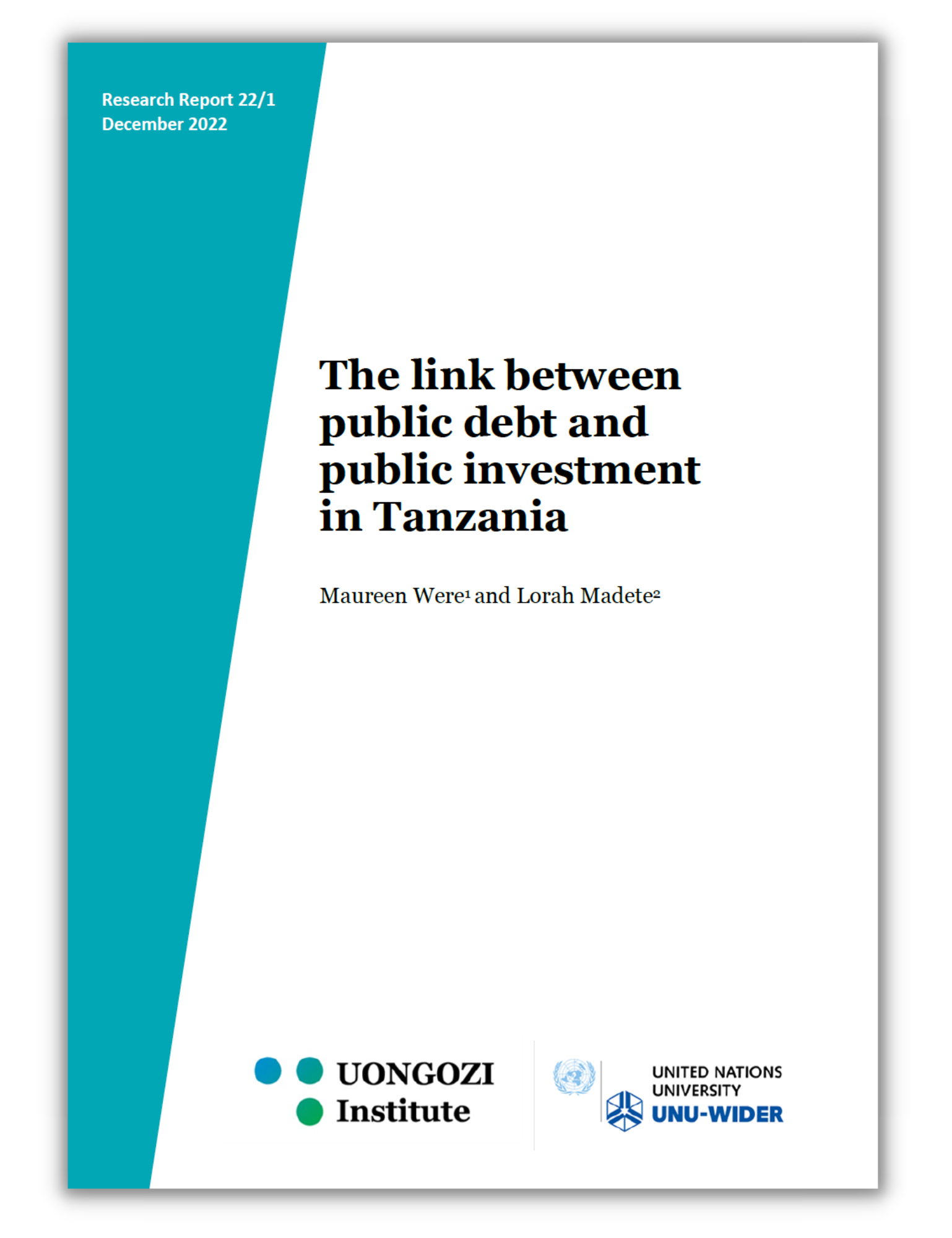 Public debt & public investment