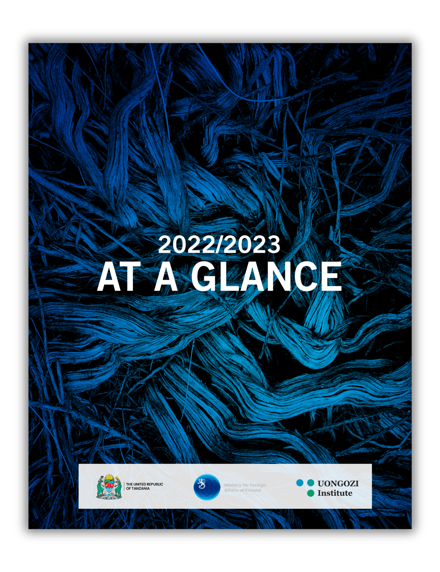 2022:23 at a glance